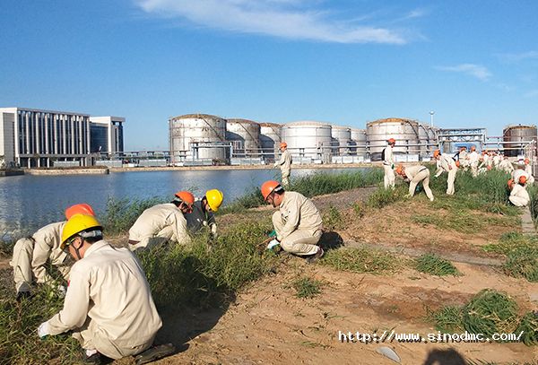 集團機關(guān)黨支部與公司團(tuán)委聯合開展誌願服務活動